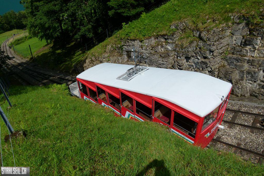 k-P1360518.JPG