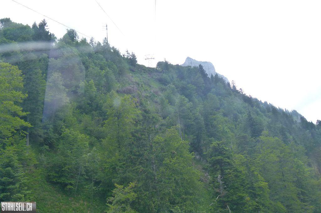 k-P1360537.JPG