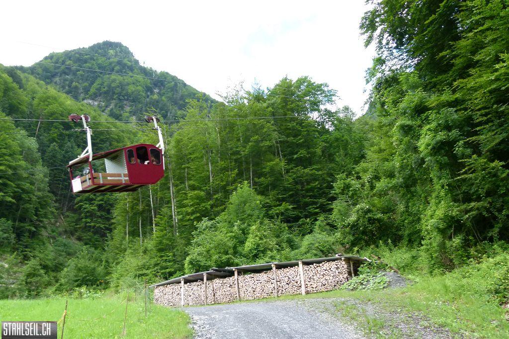 k-P1370351.JPG