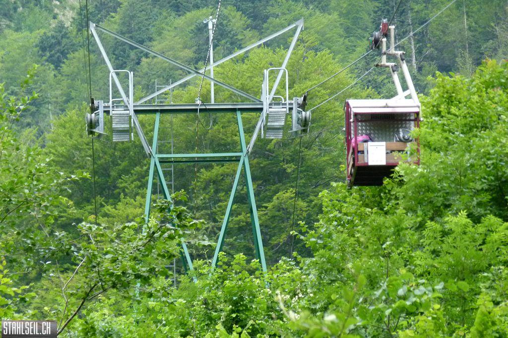 k-P1370354.JPG