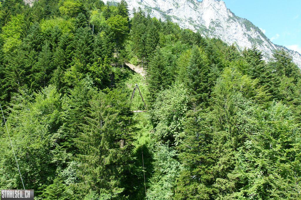 k-P1370479.JPG