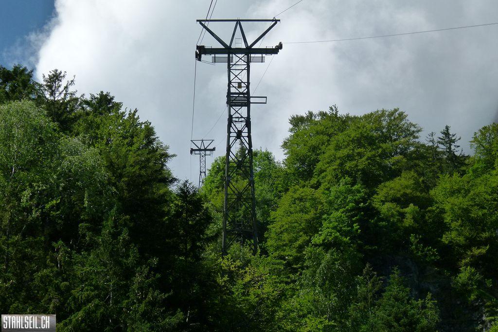 k-P1370484.JPG