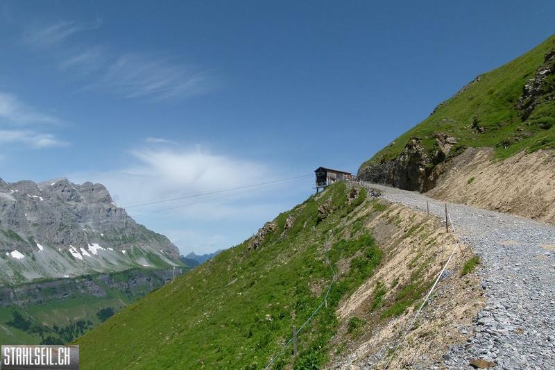 k-P1390092.JPG