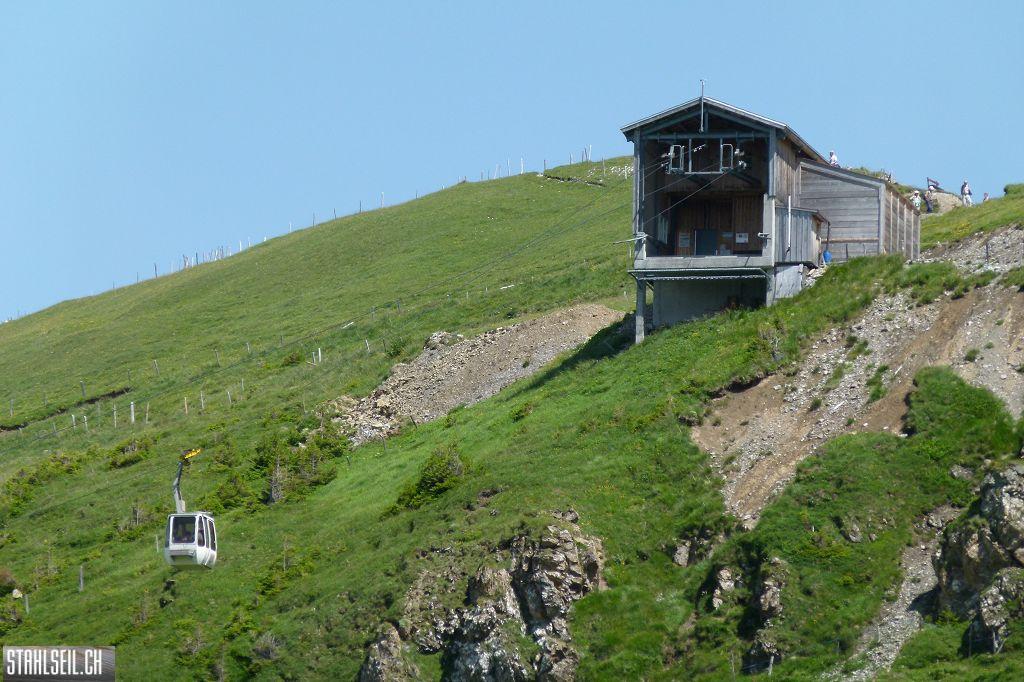 k-P1390094.JPG