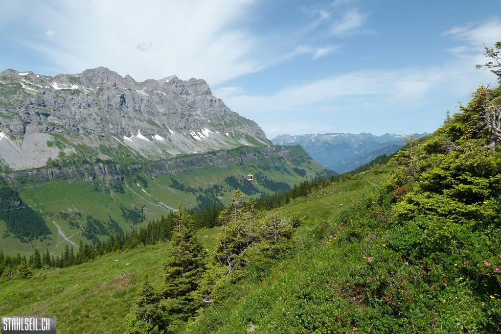 k-P1390096.JPG
