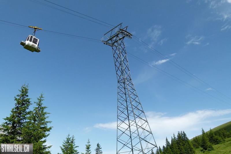 k-P1390143.JPG