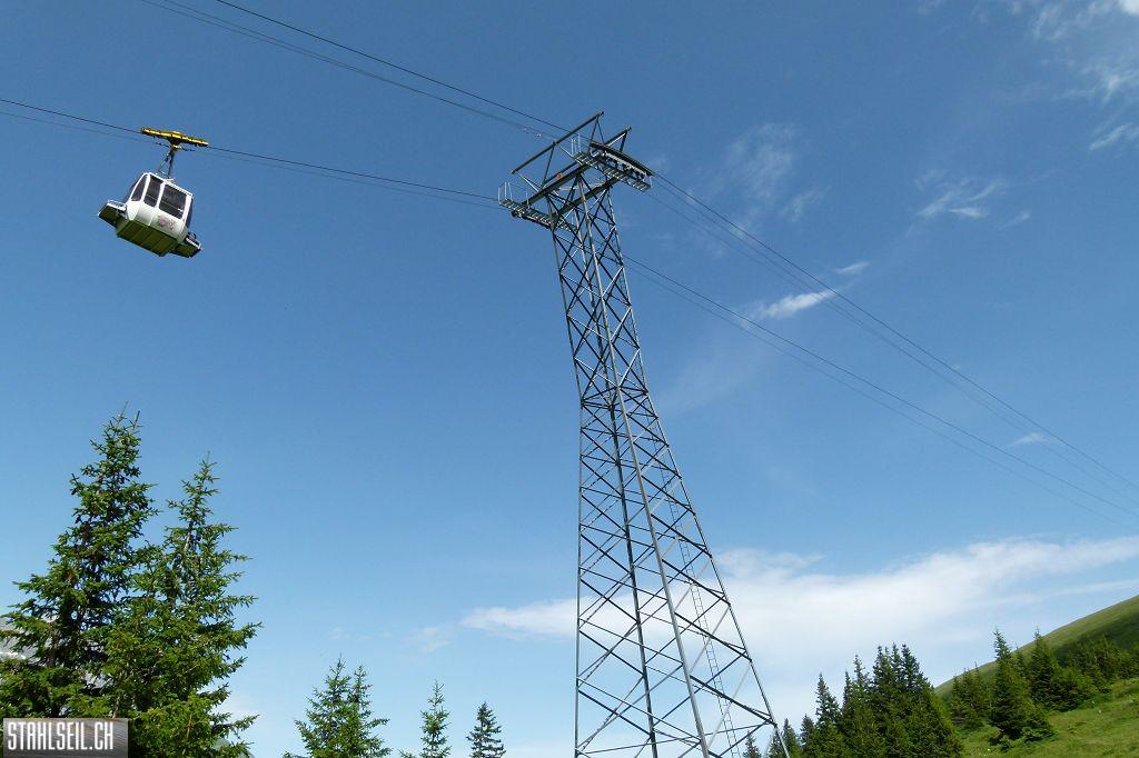 k-P1390143.JPG