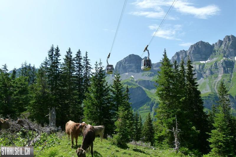 k-P1390168.JPG