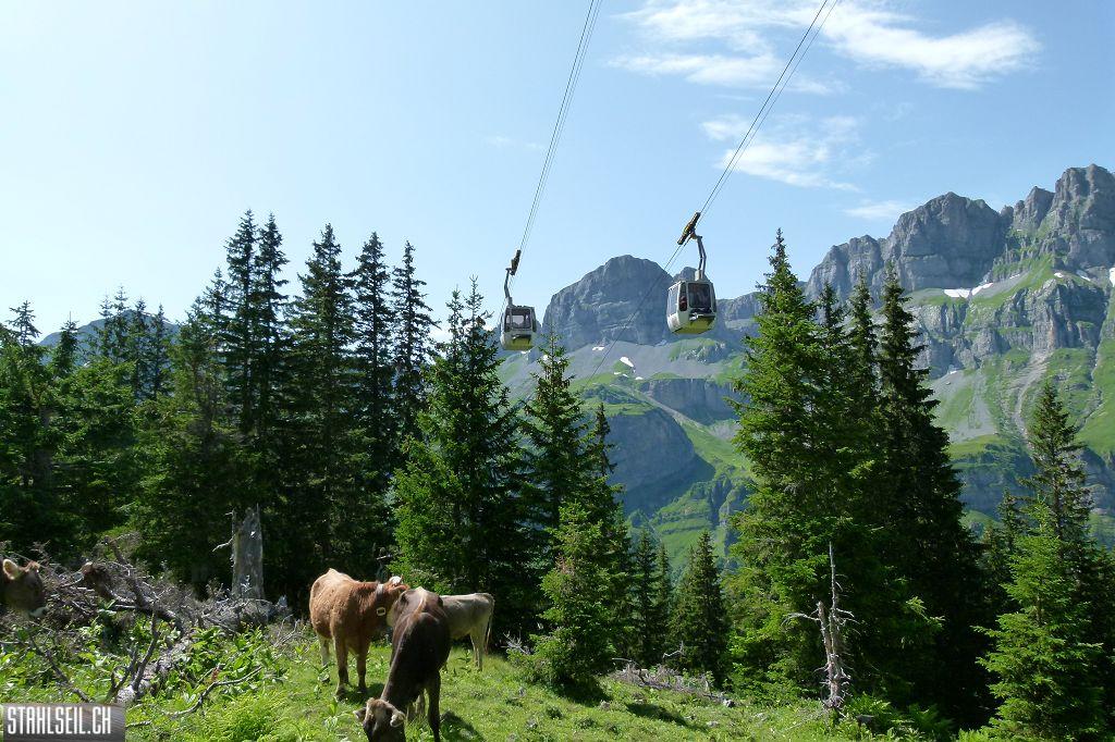 k-P1390168.JPG