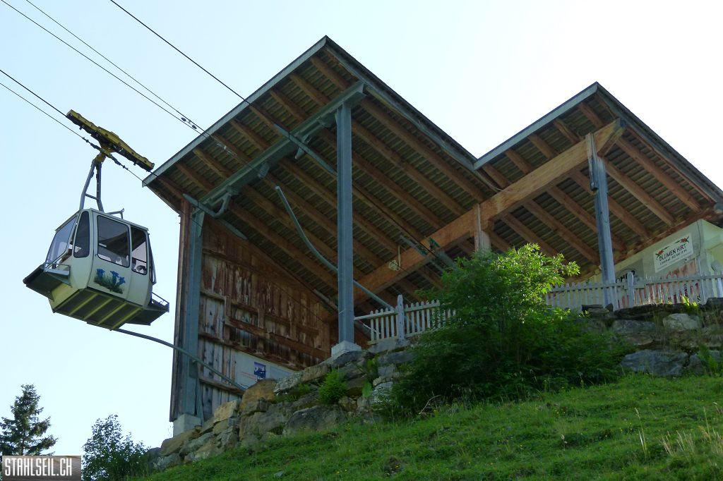 k-P1390314.JPG
