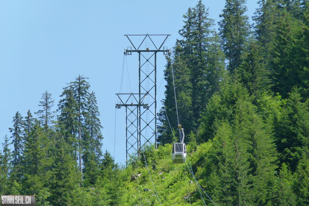 k-P1390010.JPG