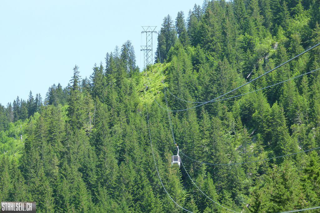k-P1390011.JPG