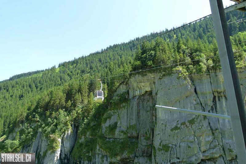 k-P1390013.JPG