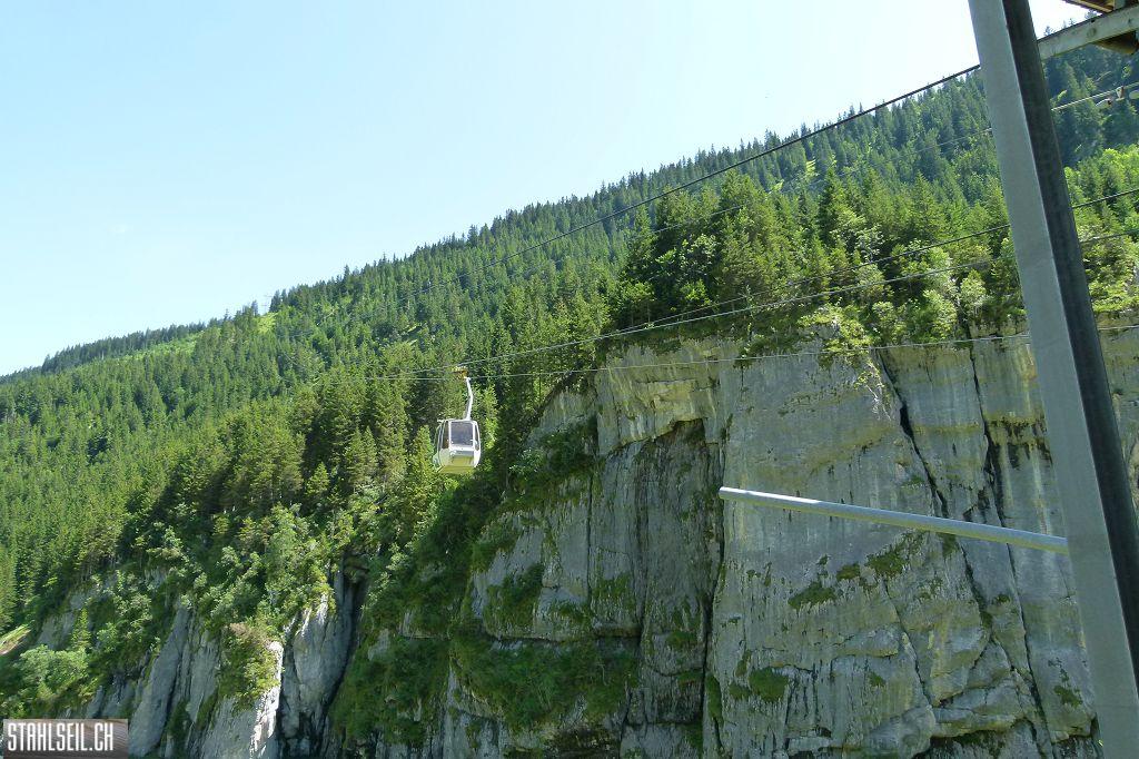 k-P1390013.JPG