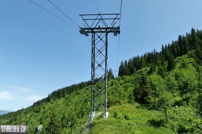 k-P1390029.JPG