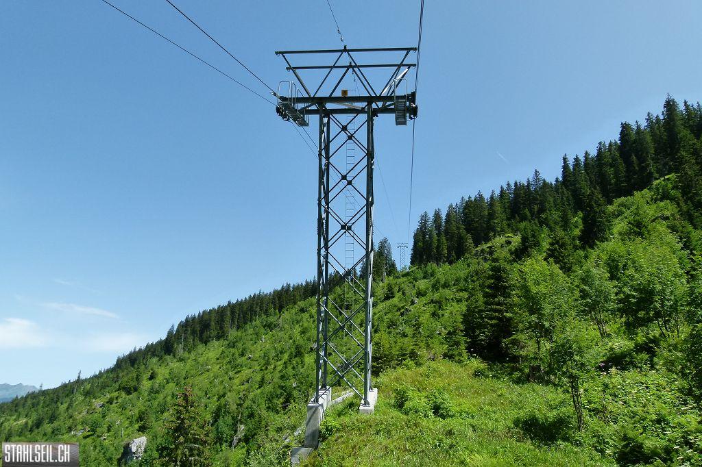 k-P1390029.JPG