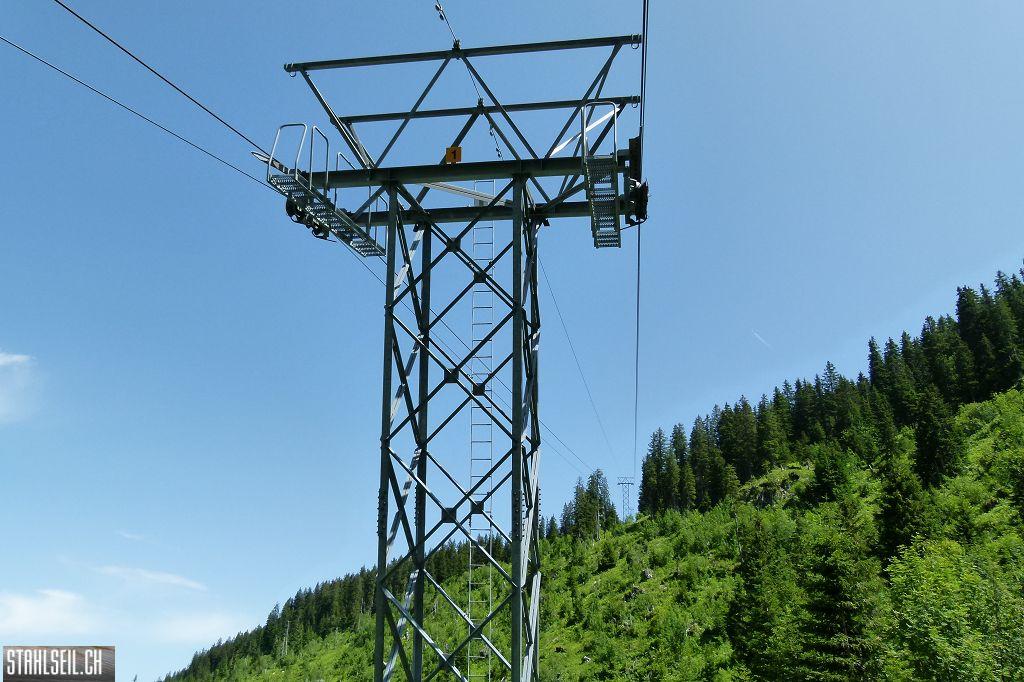 k-P1390030.JPG