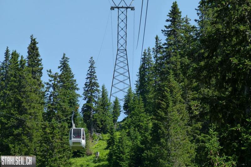 k-P1390035.JPG