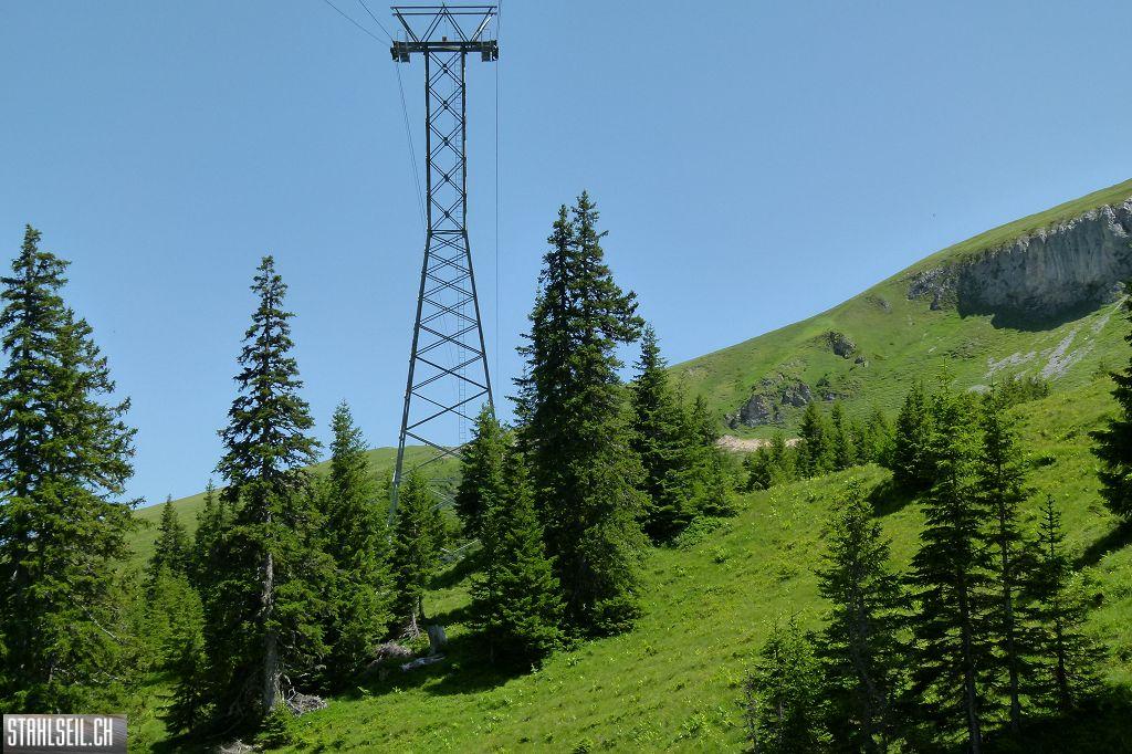 k-P1390038.JPG
