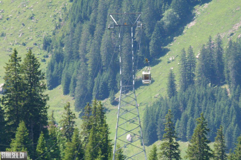 k-P1390071.JPG