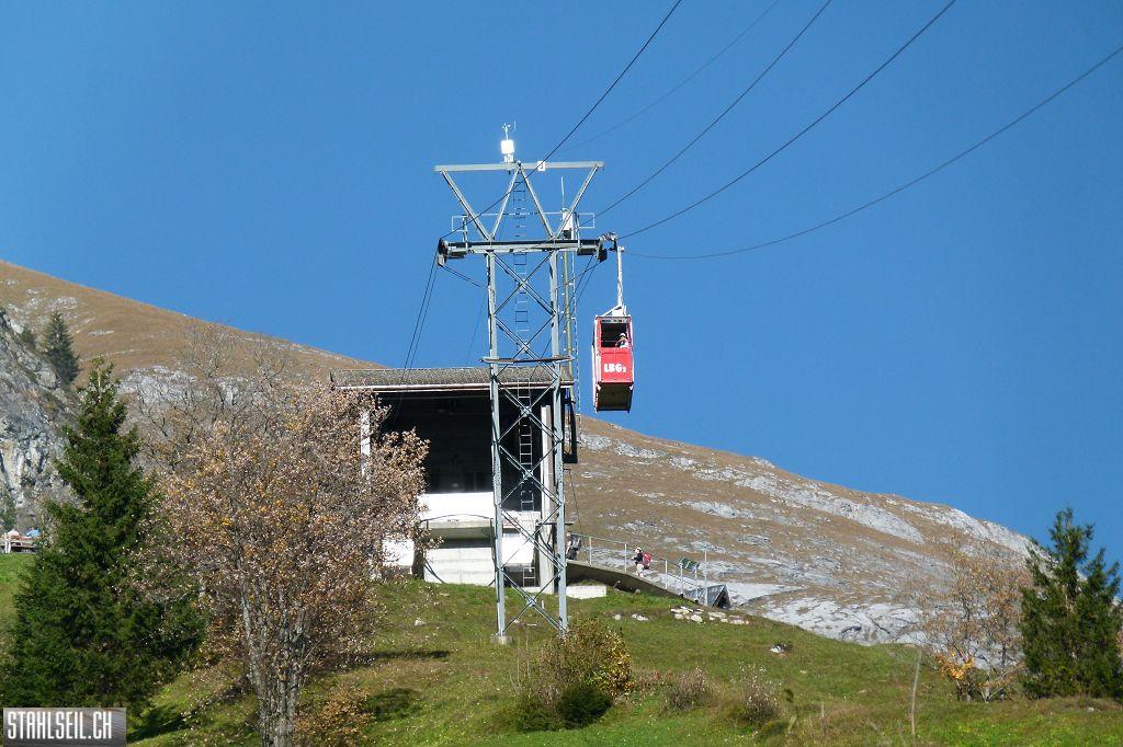 k-P1420681.JPG