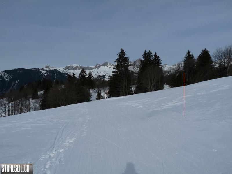 k-P1270987.JPG