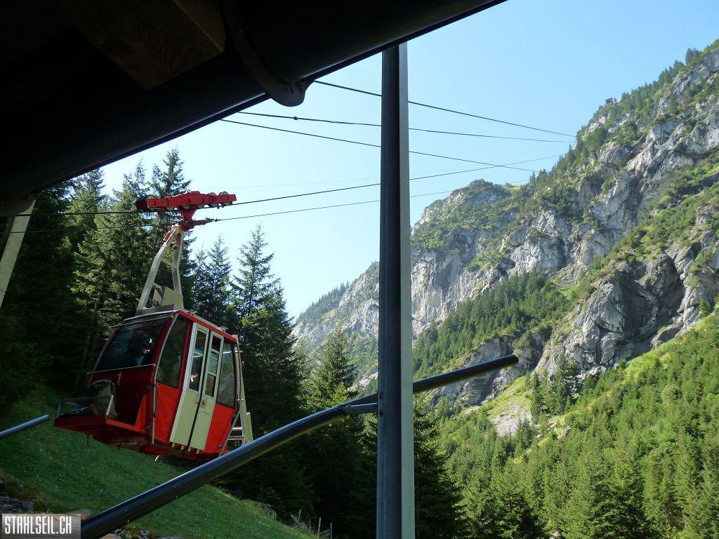 k-P1460387.JPG