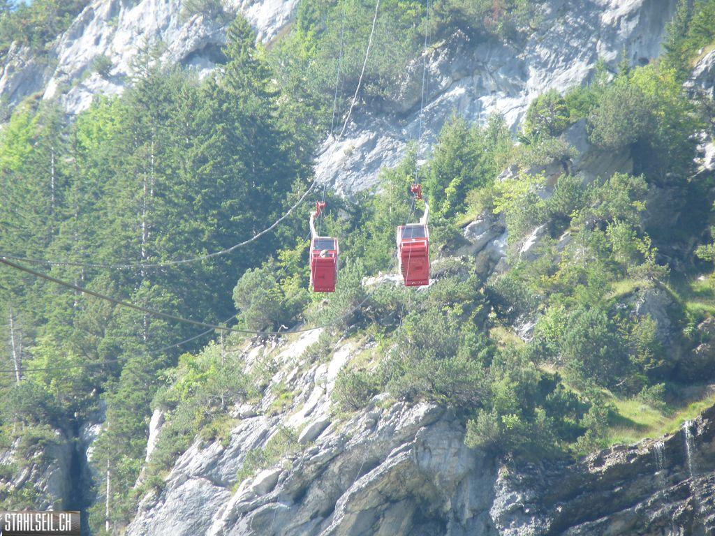 k-P1460389.JPG