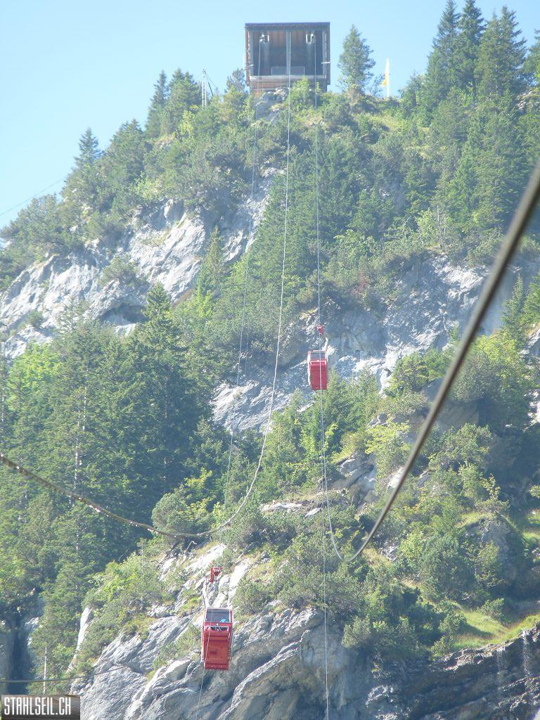 k-P1460392.JPG
