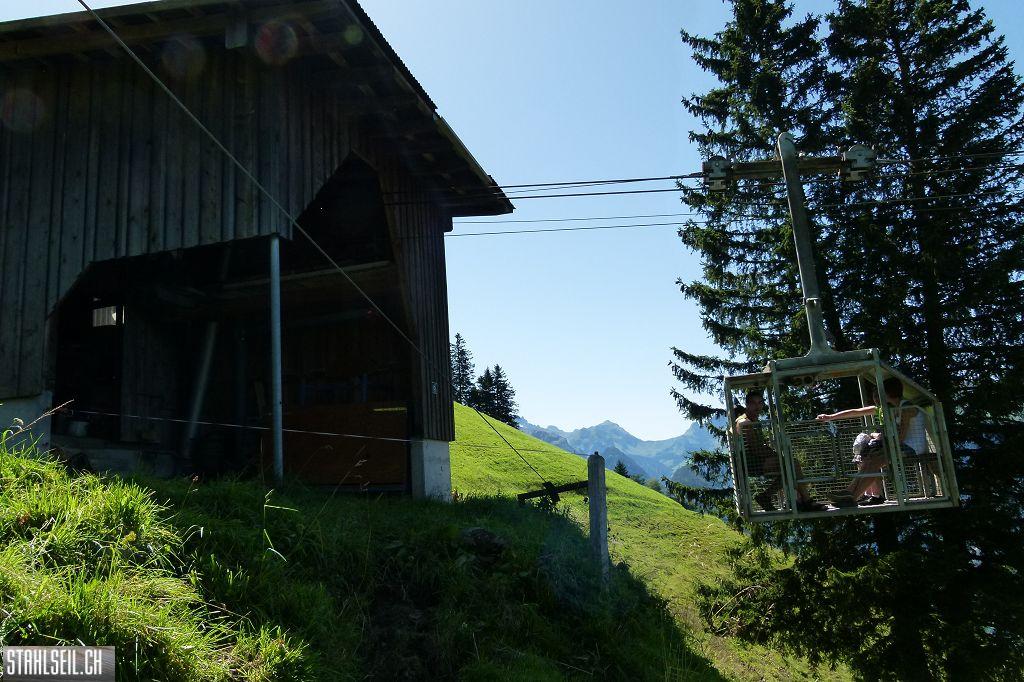 k-P1400596.JPG