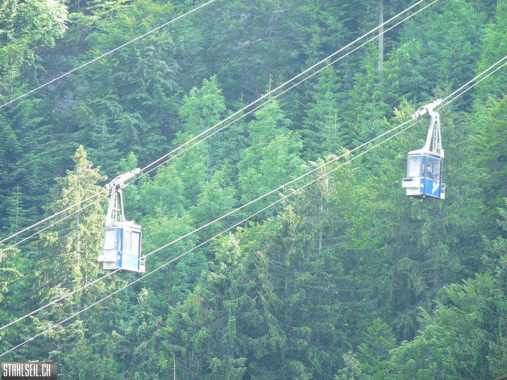 k-P1400517.JPG