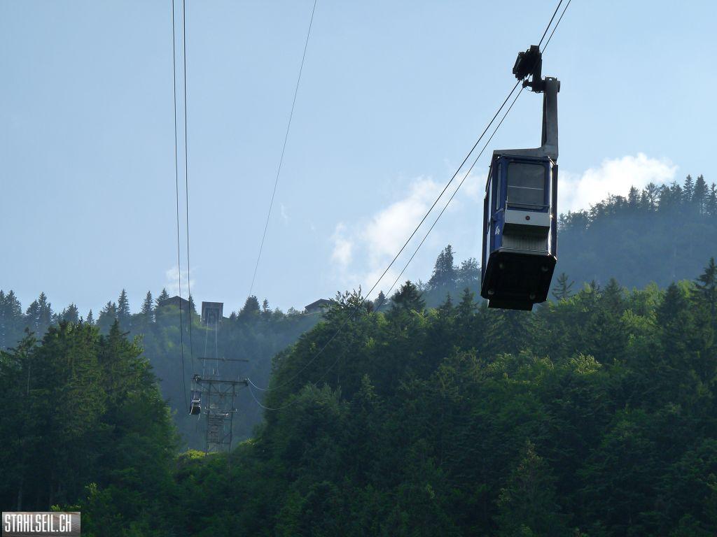 k-P1400528.JPG