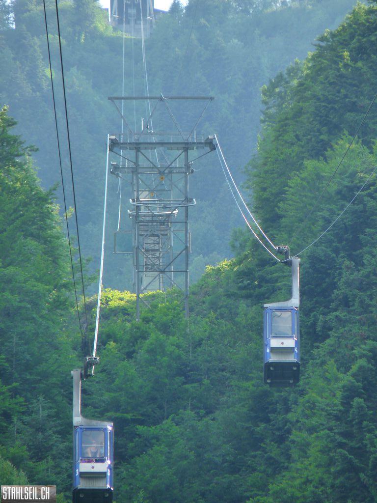 k-P1400534.JPG