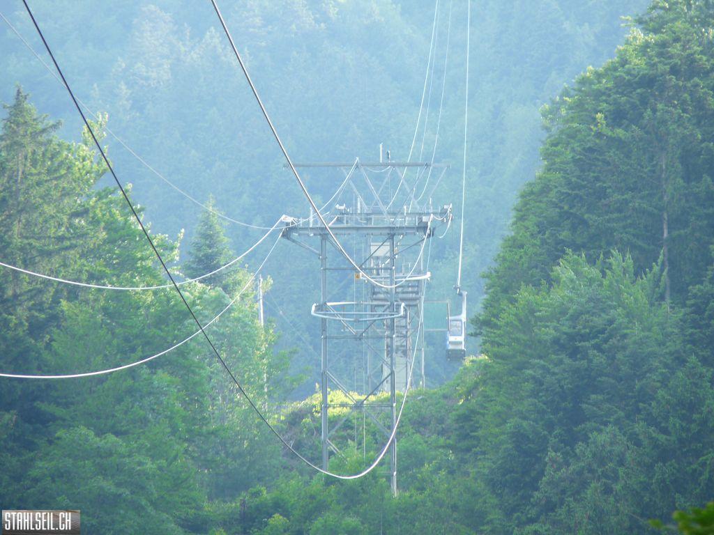 k-P1400541.JPG