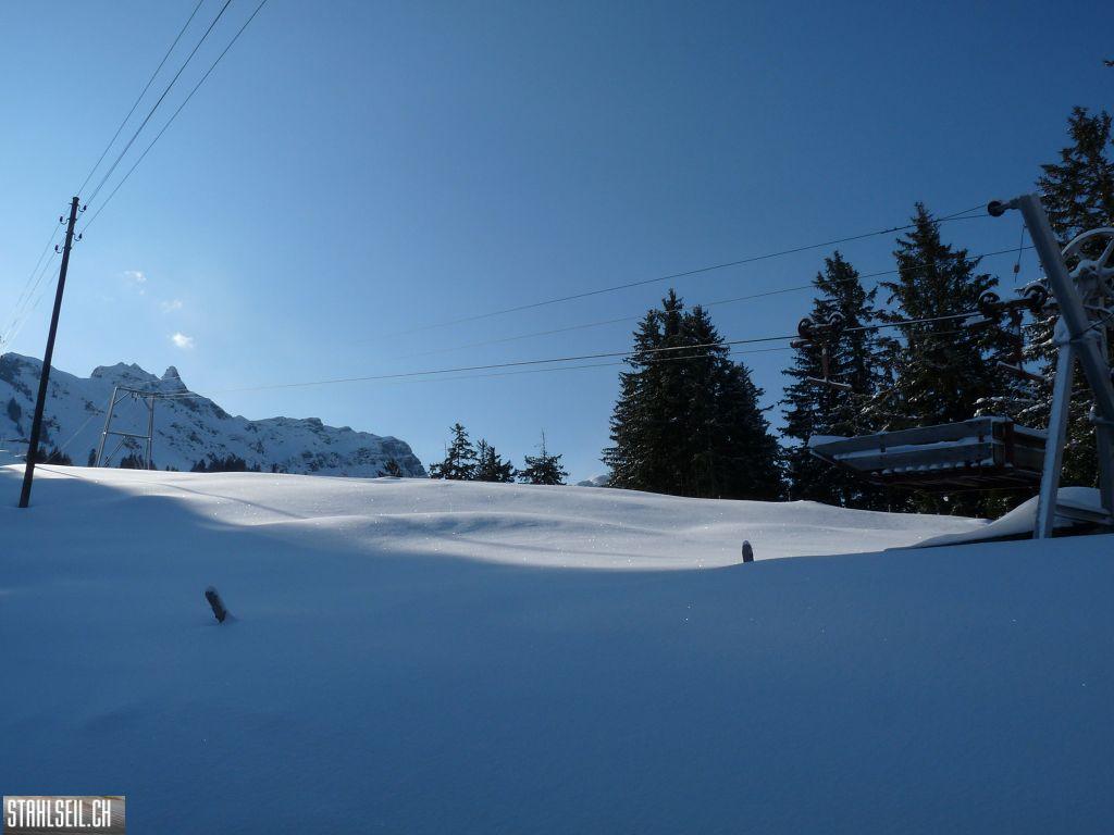 k-P1320003.JPG