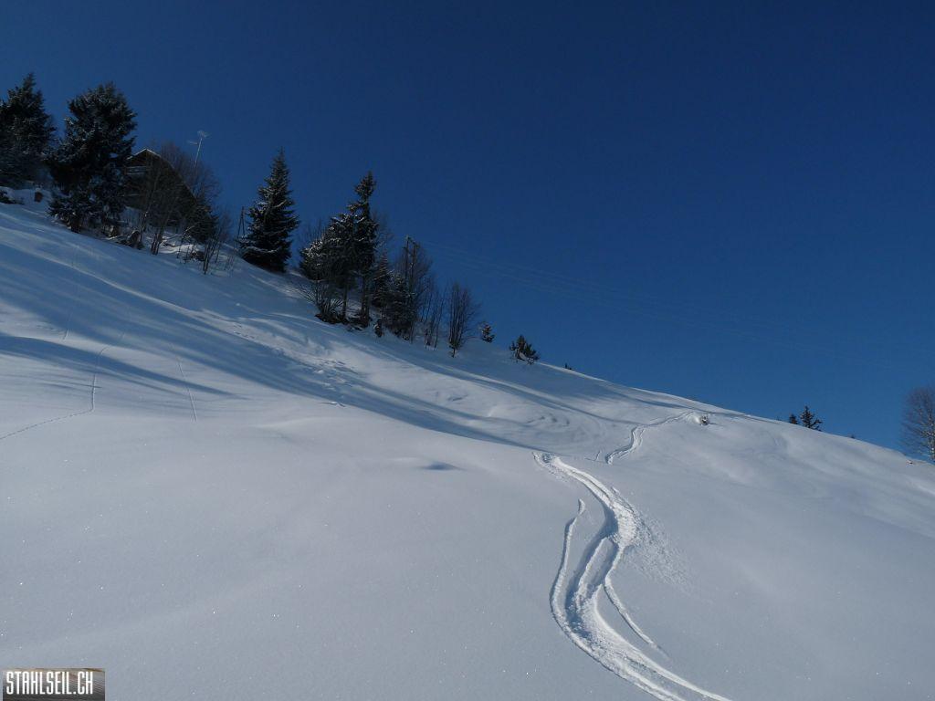k-P1320008.JPG