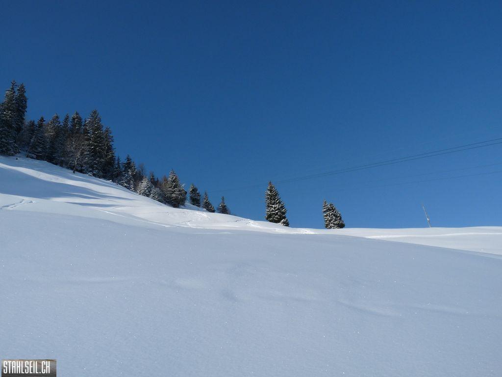 k-P1320011.JPG