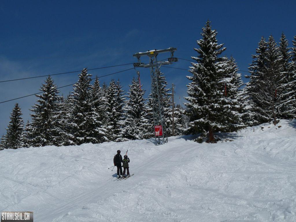 k-P1320102.JPG
