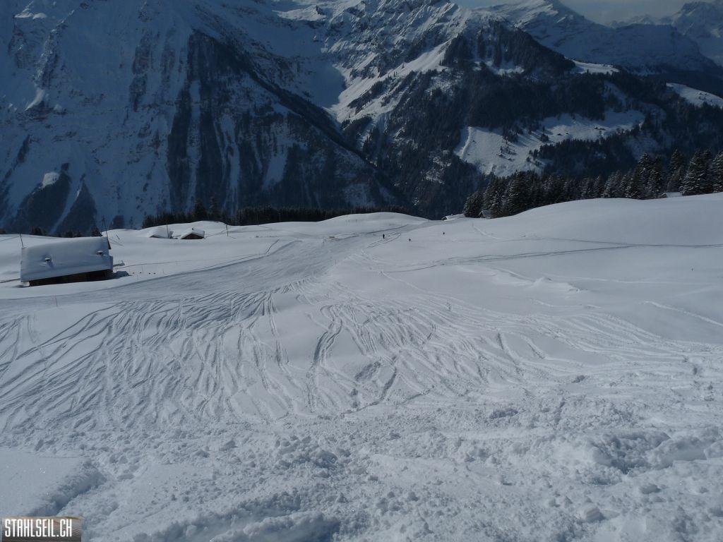 k-P1320119.JPG
