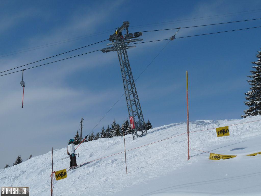 k-P1320124.JPG