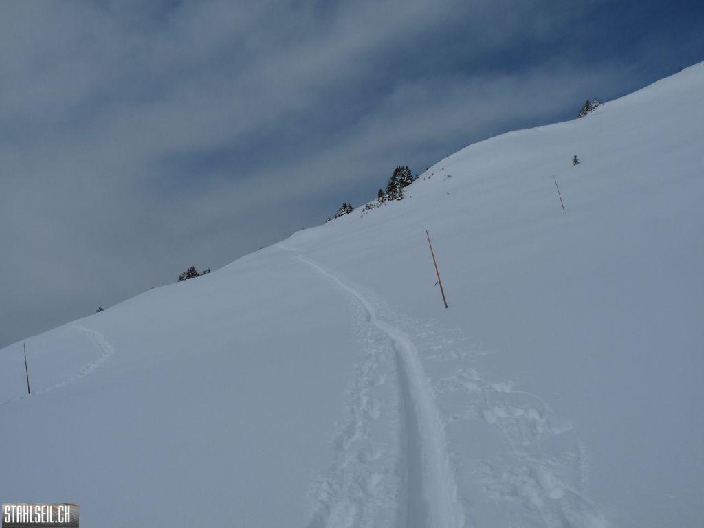 k-P1320129.JPG