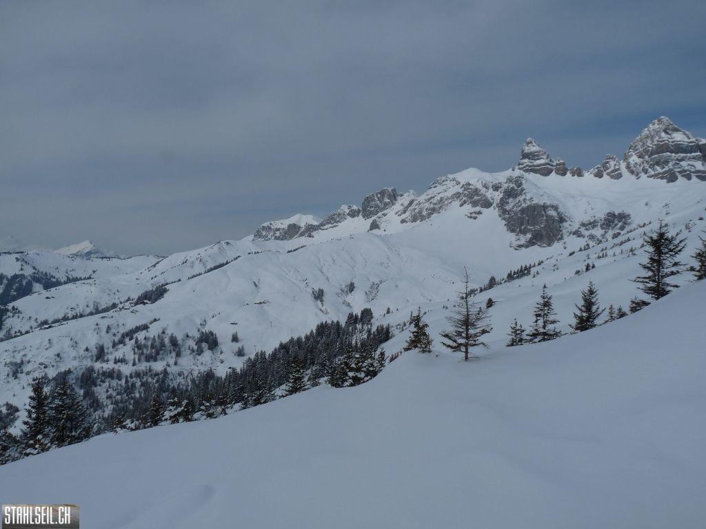 k-P1320134.JPG