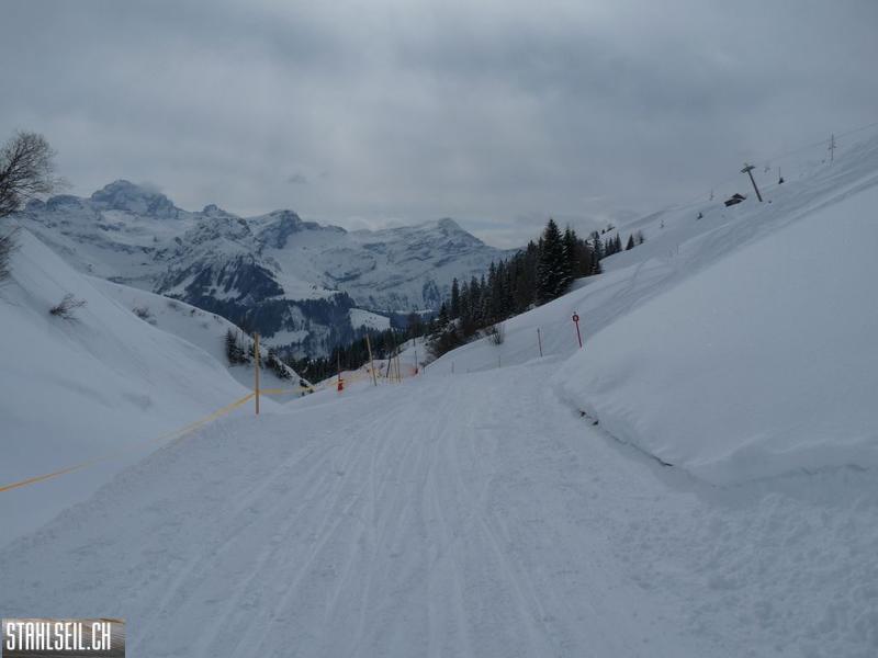 k-P1320139.JPG