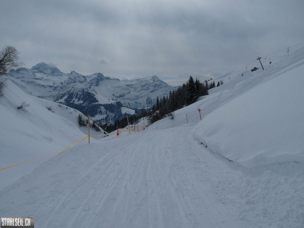 k-P1320139.JPG