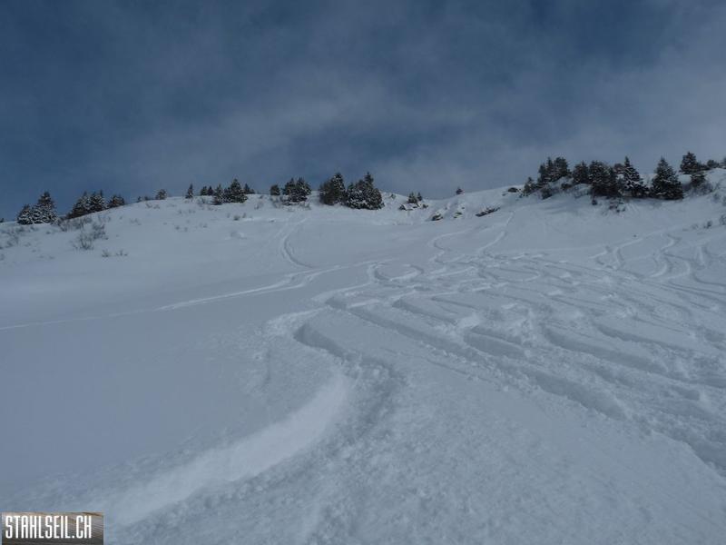 k-P1320164.JPG