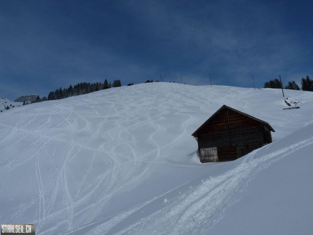 k-P1320187.JPG