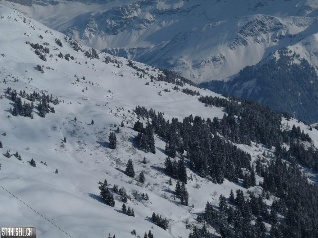 k-P1320258.JPG