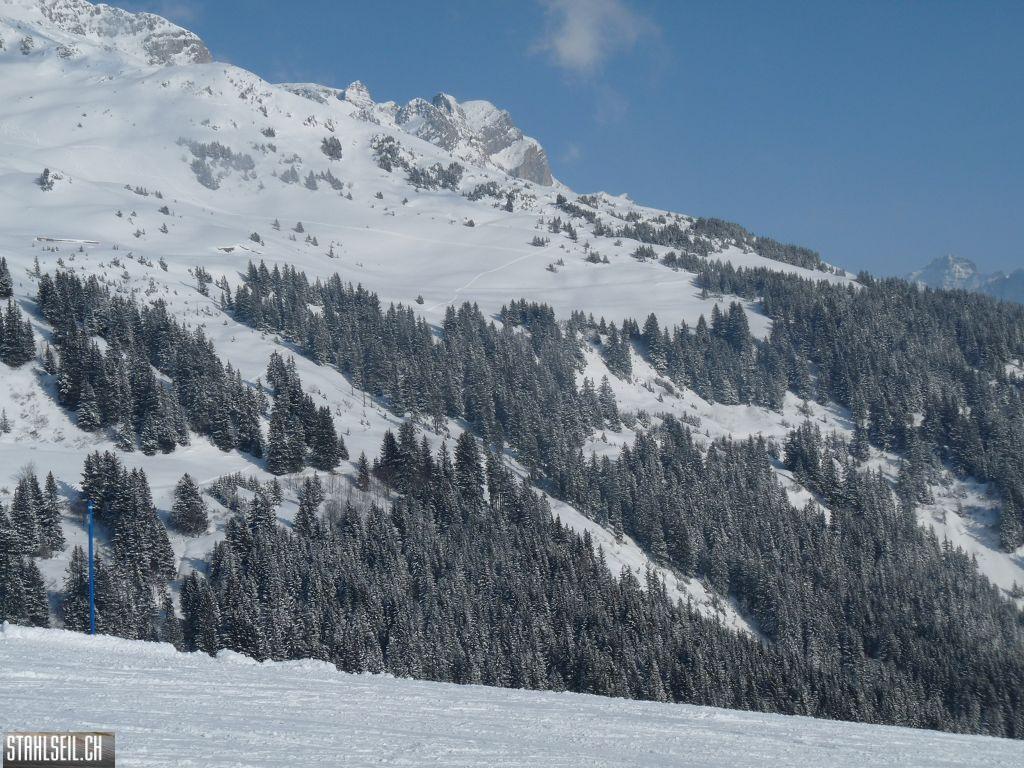 k-P1320291.JPG