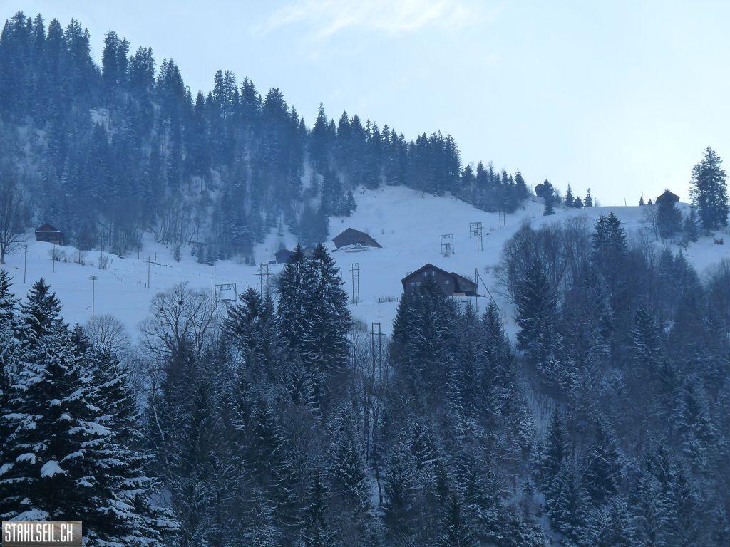 k-P1320351.JPG