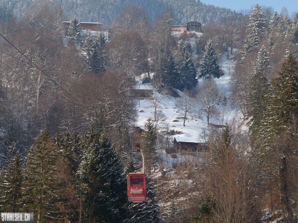 k-P1320353.JPG